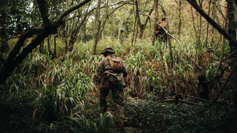 3d MLR HQ Marines Conduct EAB Sustainment Training