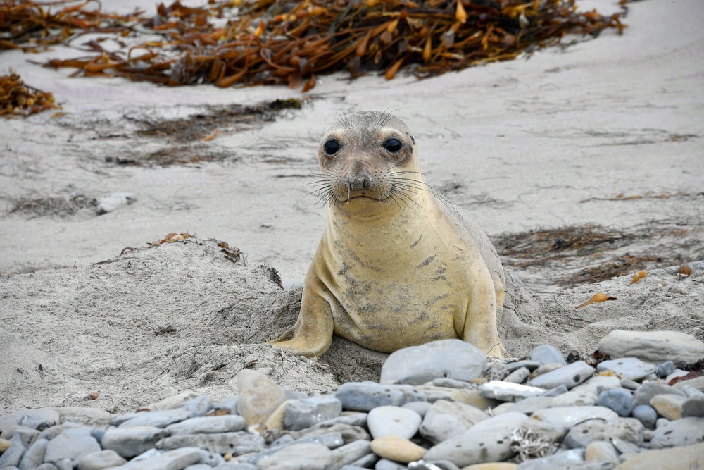 Here’s what the Navy found on a remote beach