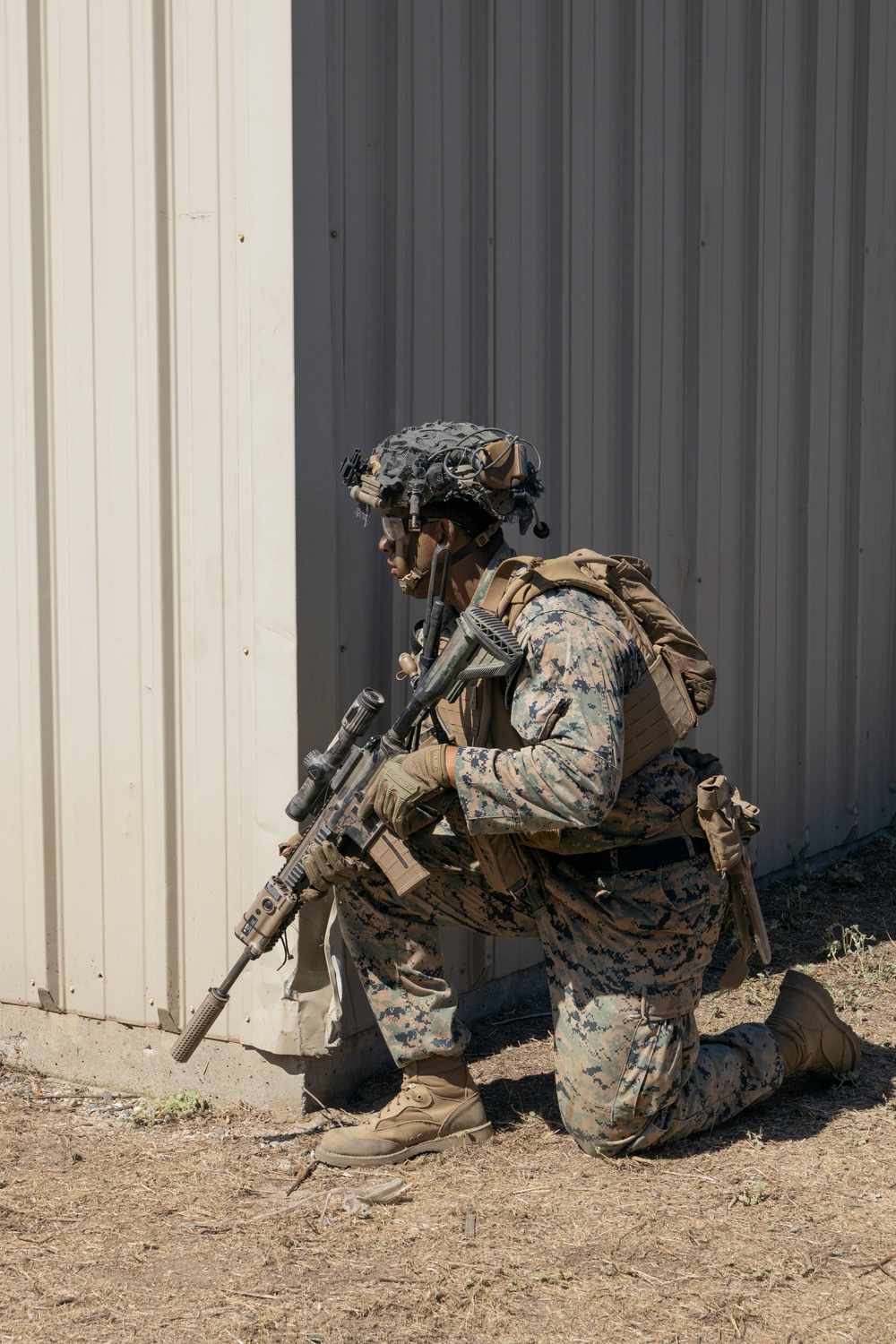 1st Bn., 4th Marines conduct field training