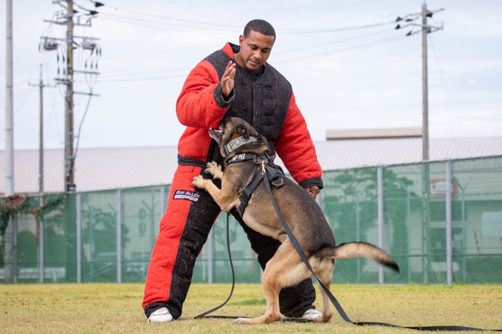 A Police Officer’s Best Friend: Japanese Maritime Self-Defense Force Train with Military Working-Dogs Alongside U.S. Marines