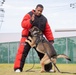 A Police Officer’s Best Friend: Japanese Maritime Self-Defense Force Train with Military Working-Dogs Alongside U.S. Marines