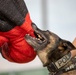 A Police Officer’s Best Friend: Japanese Maritime Self-Defense Force Train with Military Working-Dogs Alongside U.S. Marines