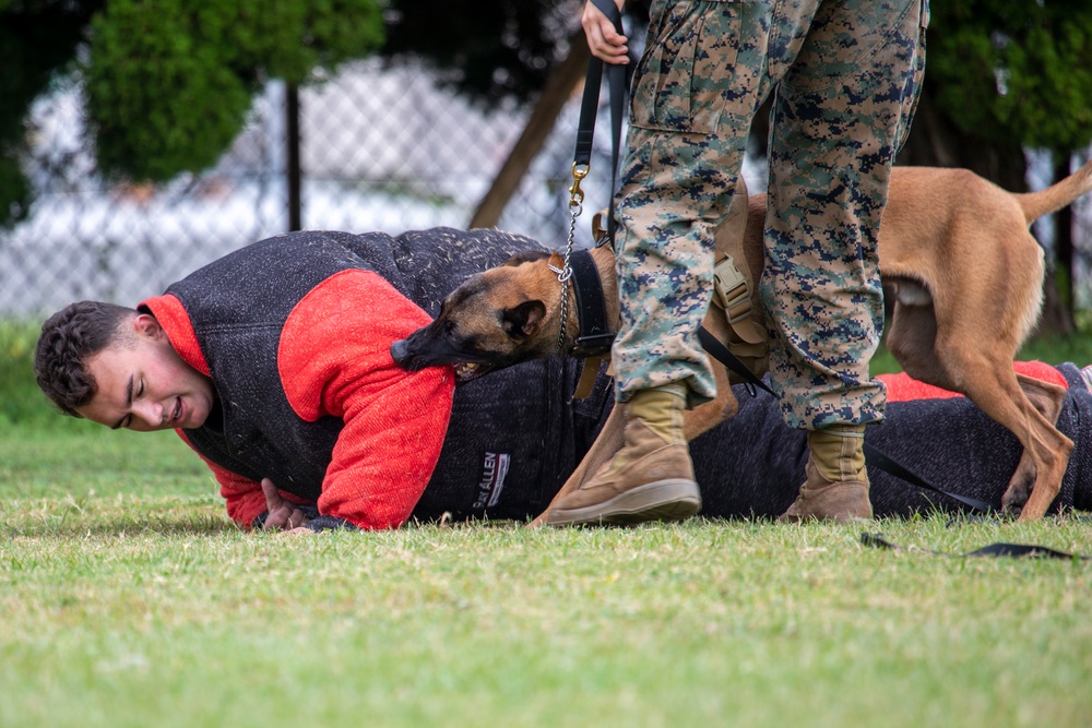 A Police Officer’s Best Friend: Japanese Maritime Self-Defense Force Train with Military Working-Dogs Alongside U.S. Marines