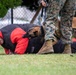 A Police Officer’s Best Friend: Japanese Maritime Self-Defense Force Train with Military Working-Dogs Alongside U.S. Marines