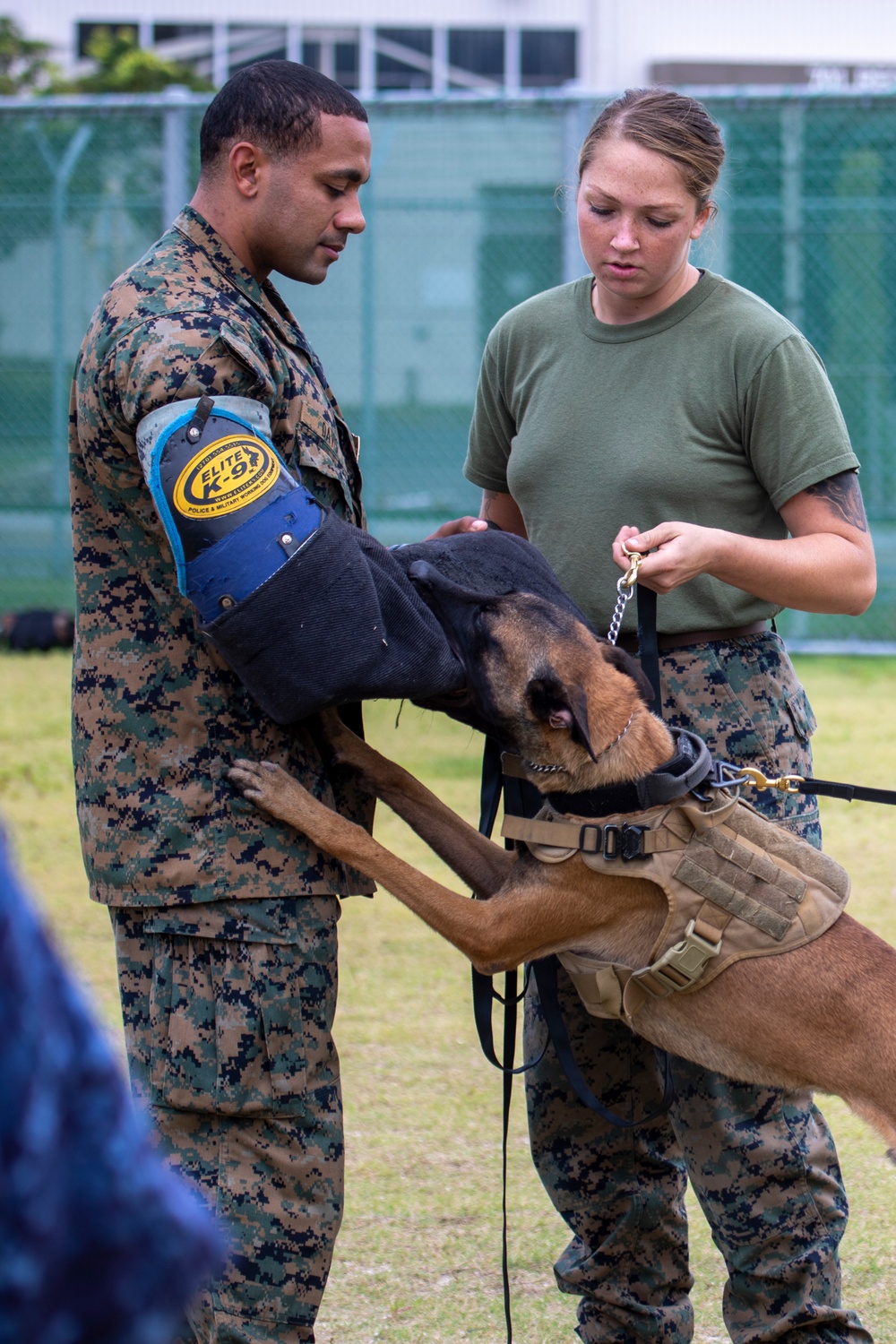 A Police Officer’s Best Friend: Japanese Maritime Self-Defense Force Train with Military Working-Dogs Alongside U.S. Marines