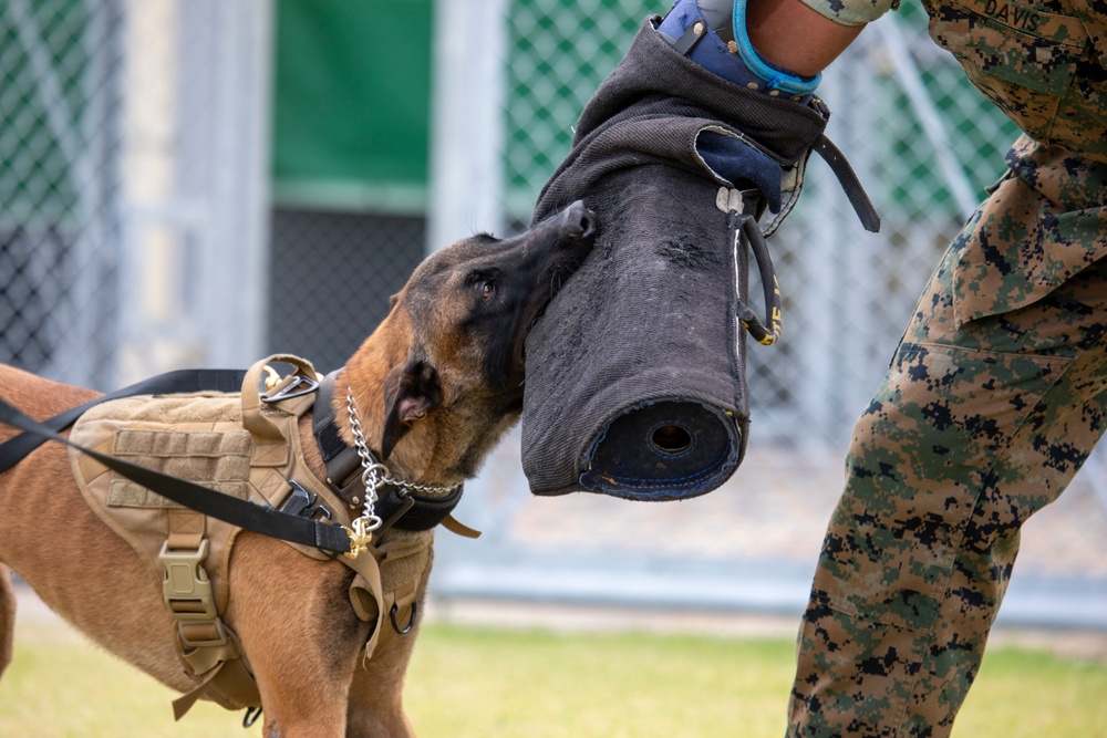 A Police Officer’s Best Friend: Japanese Maritime Self-Defense Force Train with Military Working-Dogs Alongside U.S. Marines