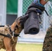 A Police Officer’s Best Friend: Japanese Maritime Self-Defense Force Train with Military Working-Dogs Alongside U.S. Marines