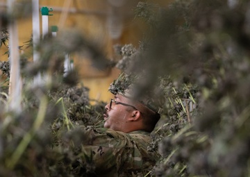 Oklahoma Guardsmen assist Oklahoma Bureau of Narcotics with Counter Drug Operations