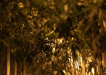 Oklahoma Guardsmen assist Oklahoma Bureau of Narcotics with Counter Drug Operations