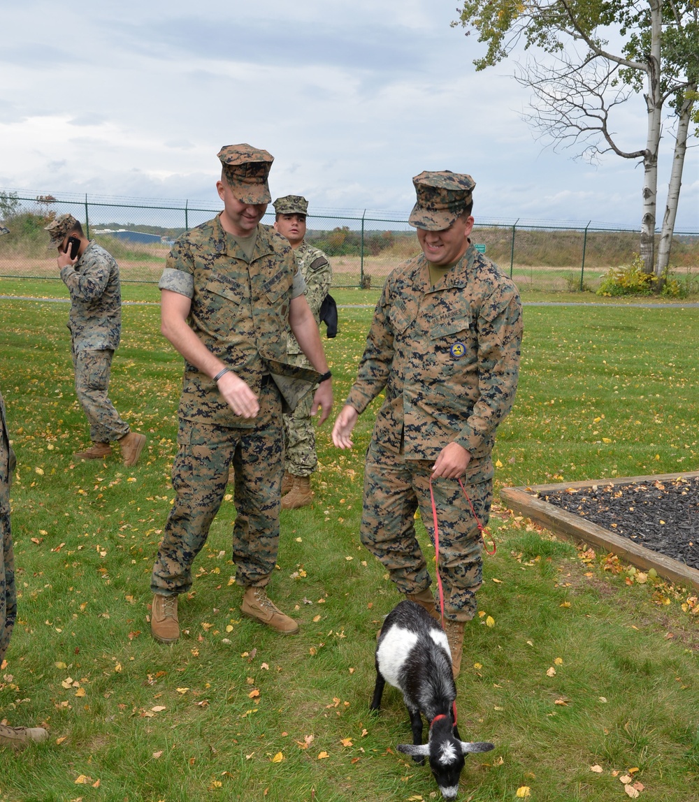 New York Naval Militia marks Navy birthday