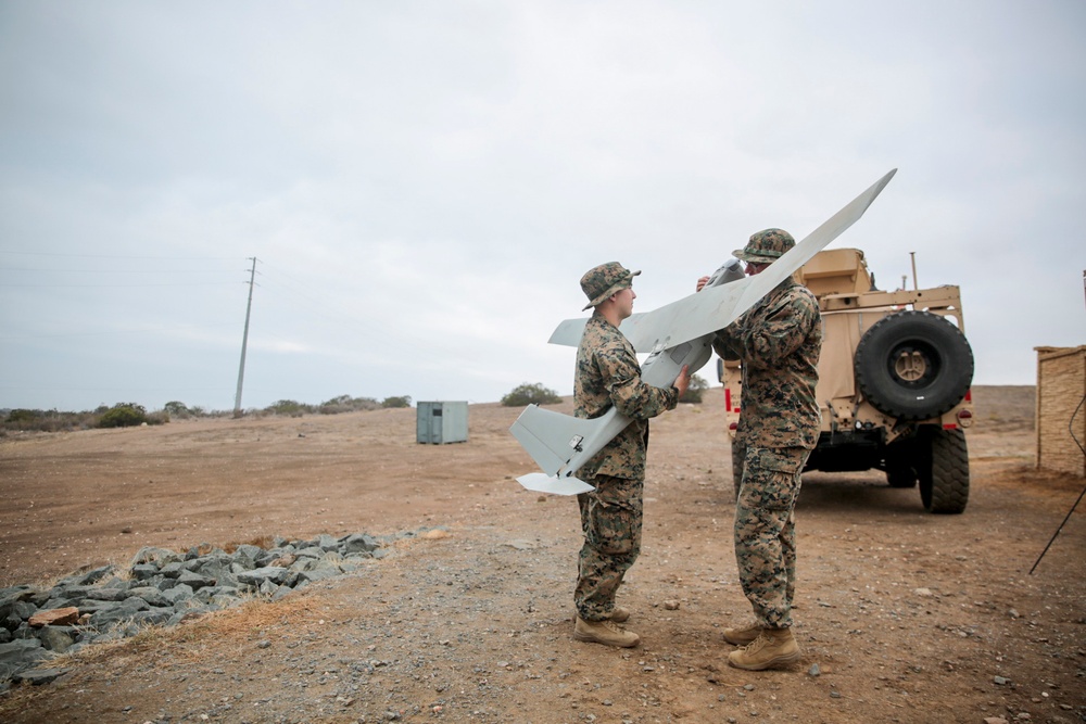 Eagle Eyes: 1st ANGLICO Marines fly RQ 20 Puma