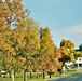 Fall Colors and the American Flag at Fort McCoy