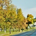 Fall Colors and the American Flag at Fort McCoy