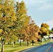 Fall Colors and the American Flag at Fort McCoy