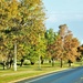 Fall Colors and the American Flag at Fort McCoy