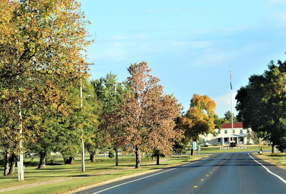 Fall Colors and the American Flag at Fort McCoy