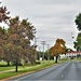 Fall Colors and the American Flag at Fort McCoy