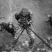 Marines repel down a cliff side during The Jungle Warfare Training Course.