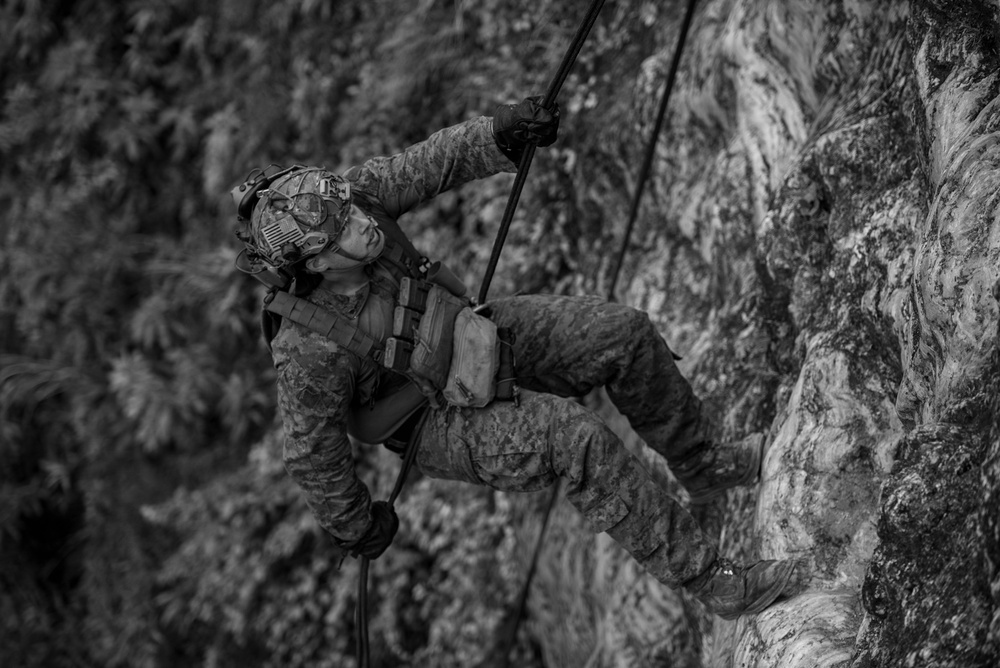 Marines repel down cliff side during The Jungle Warfare Training Course.