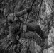 Marines repel down cliff side during The Jungle Warfare Training Course.