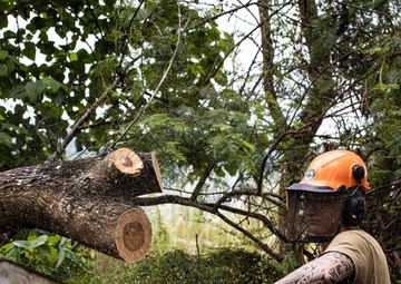 Philippine And U.S. Navy Seabees Build Together