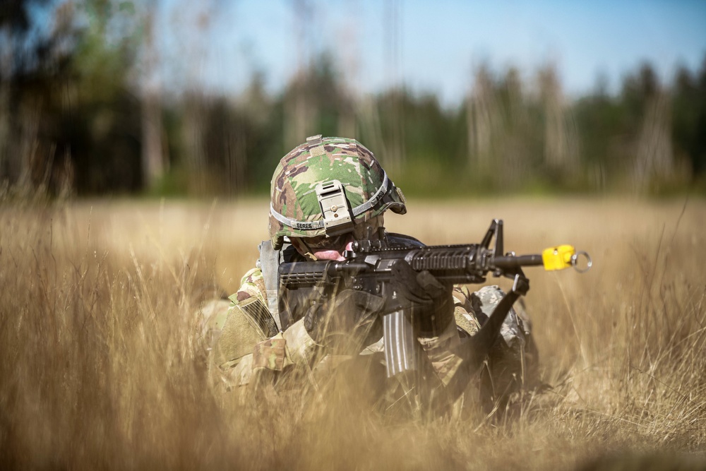 4-6 Air Cavalry Squadron completes DART training