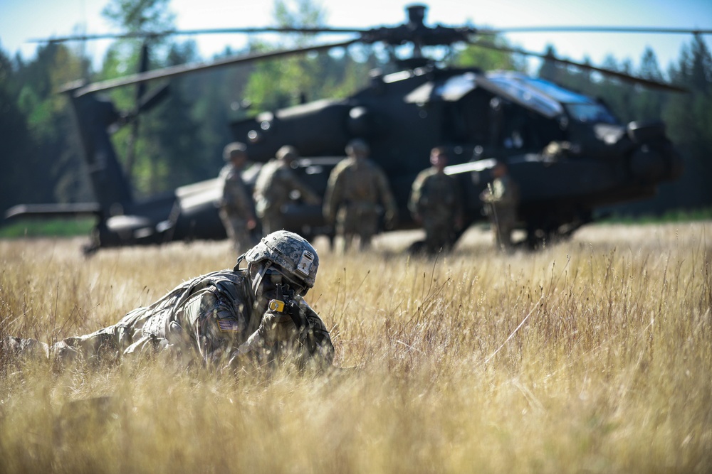 4-6 Air Cavalry Squadron completes DART training