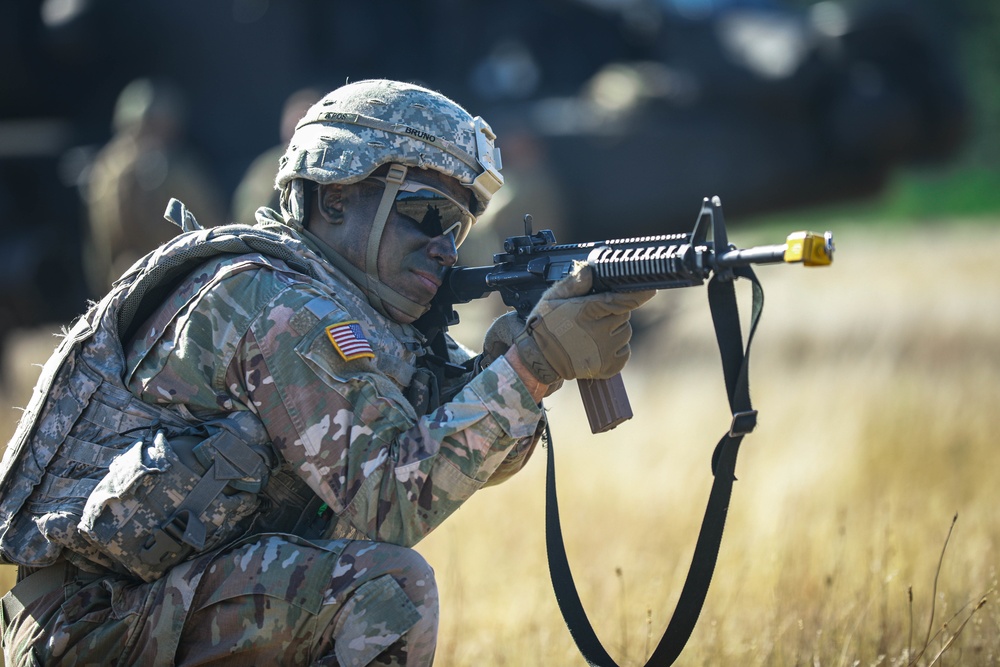 4-6 Air Cavalry Squadron completes DART training