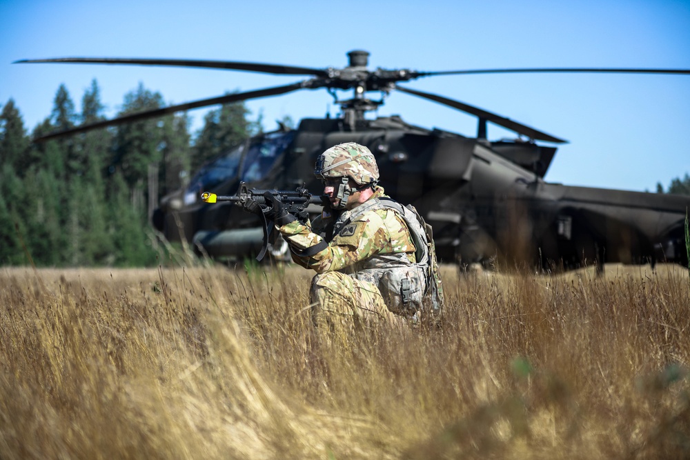 4-6 Air Cavalry Squadron completes DART training