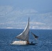 U.S. Coast Guard Cutter Northland crew patrols near Port-au-Prince