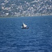 U.S. Coast Guard Cutter Northland crew patrols near Port-au-Prince