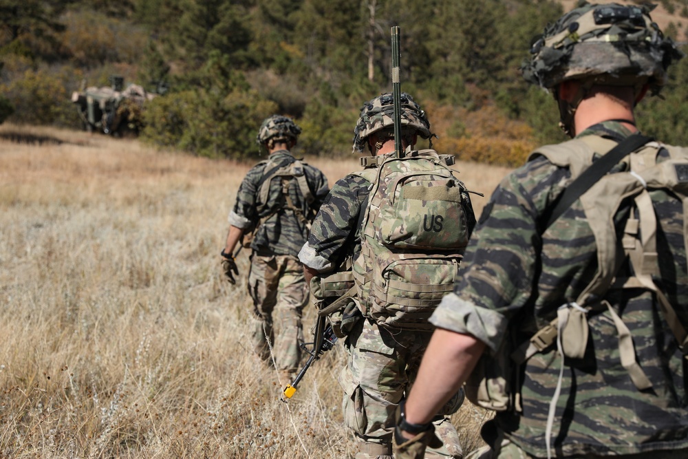 Scouts Conduct Reconnaissance