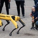 Robot Delights Youngster