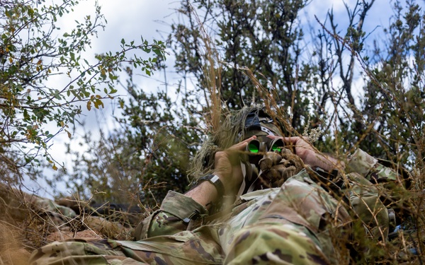 10th Group enhance SFAB’s Advisory Roles