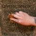 Sailors Clean Hakodate Foreign General Cemetery