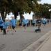 Hawg Run