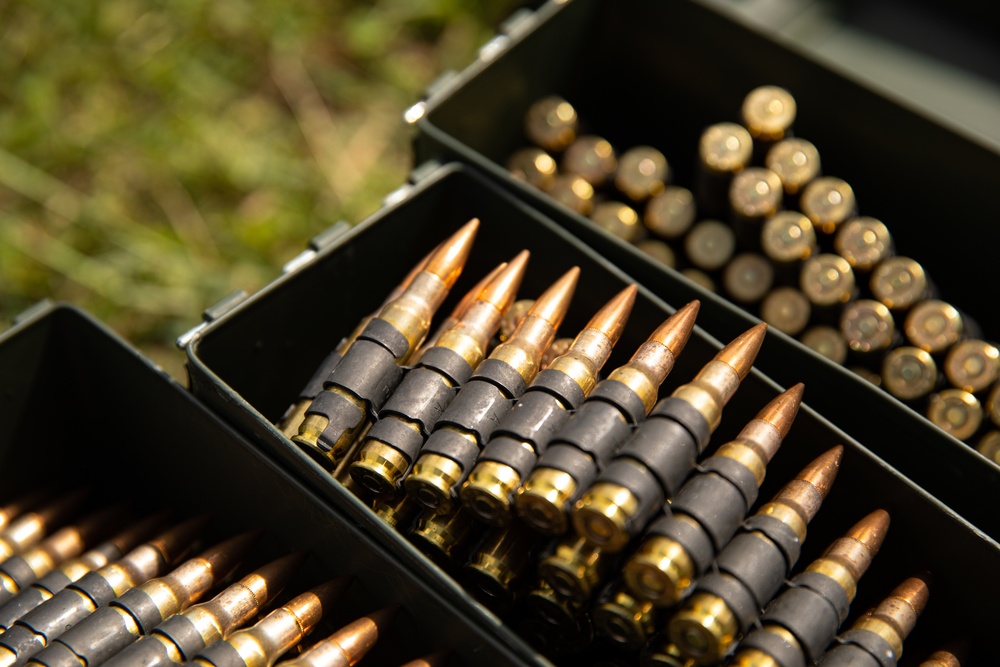 U.S. Marines with Combat Logistics Battalion 4 conduct live fire range