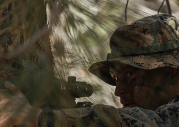 2nd Bn., 1st Marines carries out field exercise in Bridgeport