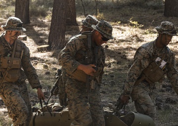 2nd Bn., 1st Marines carries out field exercise in Bridgeport