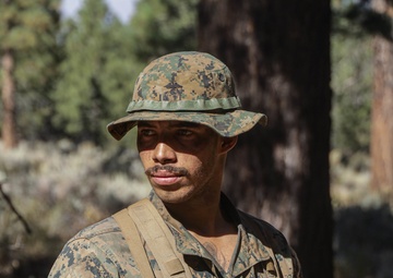 2nd Bn., 1st Marines carries out field exercise in Bridgeport