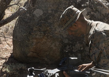 2nd Bn., 1st Marines carries out field exercise in Bridgeport