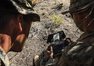 2nd Bn., 1st Marines carries out field exercise in Bridgeport