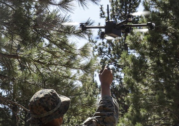 2nd Bn., 1st Marines carries out field exercise in Bridgeport