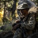 2nd Bn., 1st Marines carries out field exercise in Bridgeport