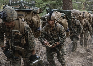 2nd Bn., 1st Marines carries out field exercise in Bridgeport