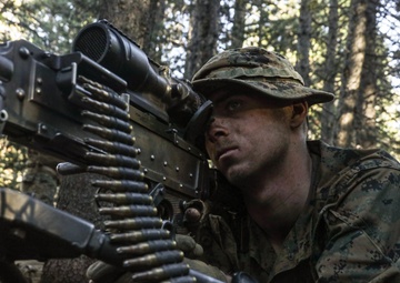 2nd Bn., 1st Marines carries out field exercise in Bridgeport