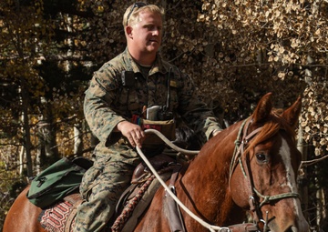 2nd Bn., 1st Marines receive resupply from animal packers in Bridgeport