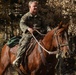 2nd Bn., 1st Marines receive resupply from animal packers in Bridgeport