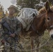 2nd Bn., 1st Marines receive resupply from animal packers in Bridgeport