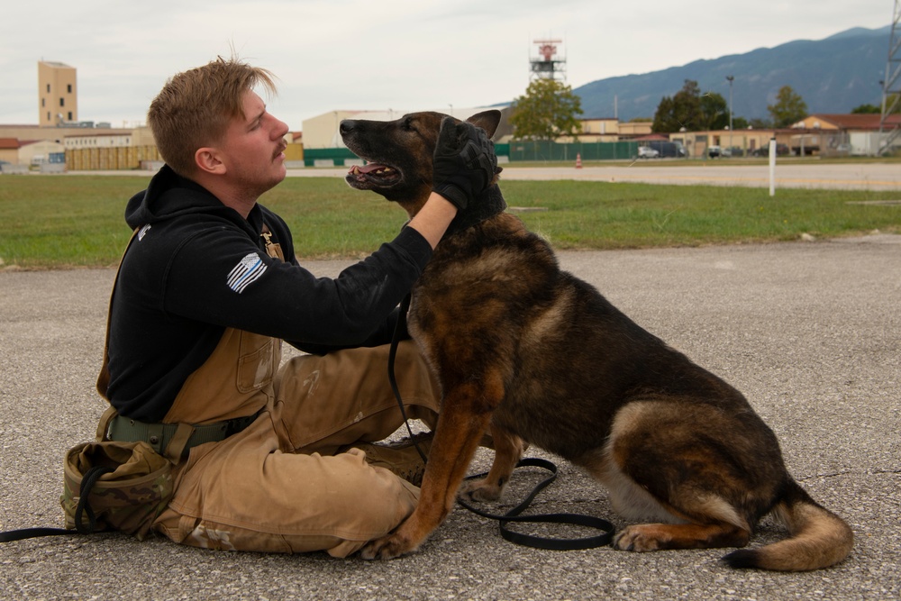 From puppy to patrol: the life of a military working dog